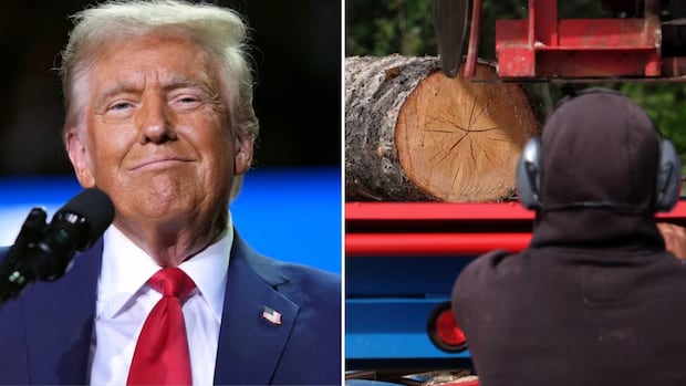 Trump says imports of wood products may pose national security threat to U.S.