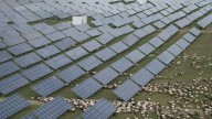 China races to build world's largest solar farm to meet emissions targets