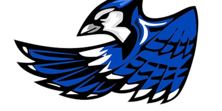 Snook Bluejays