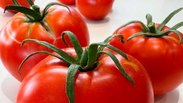 Rojo intenso, con mucho sabor y aragonés: el mejor tomate de España en 2025 es de Zaragoza
