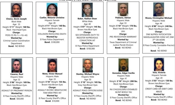 Los más buscados de la semana