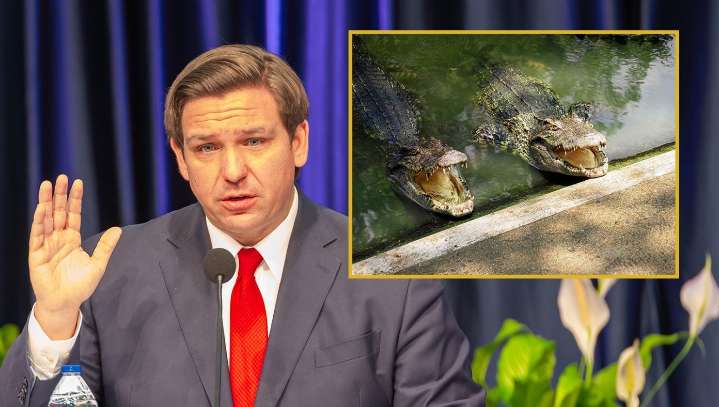 Ron DeSantis Says Teachers Who Ask Kids To Wear Masks Will Be Thrown Into The Gator Pond