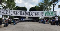 Entre policías y música, el consumo de cannabis en puntos seguros de la CDMX