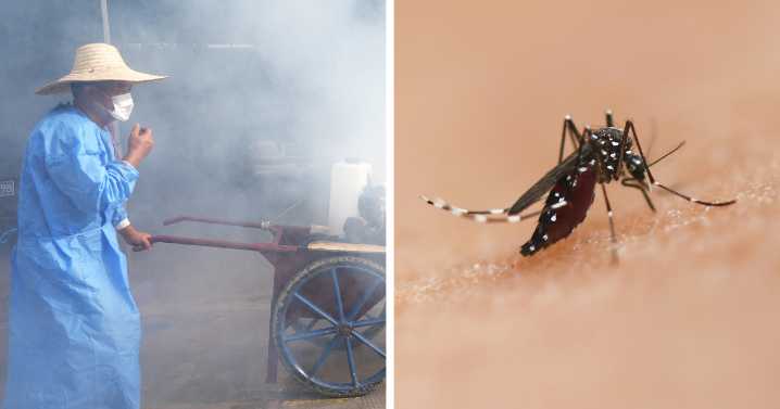 WHO Warns of Global Chikungunya Risk As China Outbreak Surges Past 10,000 And Reaches New Country