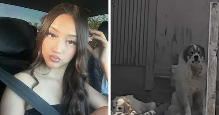 Teen Daughter’s Heartbreaking Question To Mom After Being Mauled By Pack Of Dogs