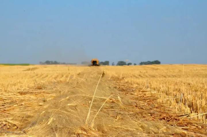Above-average temperatures, dry conditions welcome as harvest approaches