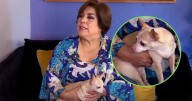Efigenia Ramos revela que la mascota de Silvia Pinal casi muere de tristeza, tras el fallecimiento de la actriz