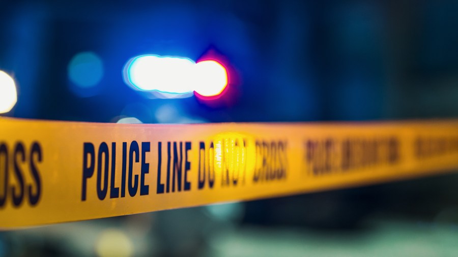 Police: Arrest made after deadly hit-and
