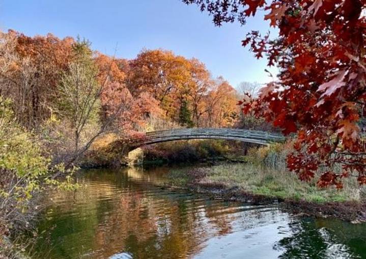 One Illinois State Park Named Among Top Ten Most Popular In U.S.