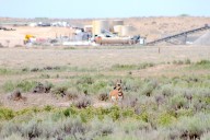 Tribes call on Trump to 'do right for Indian country,' return federal land within Wind River Reservation's bounds