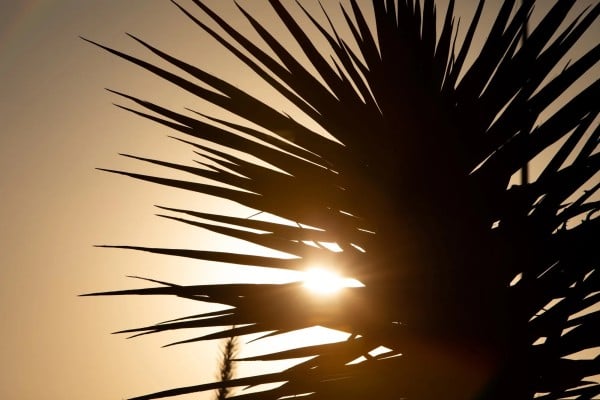 Espera Juárez domingo con 35 °C