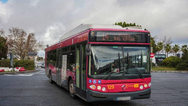 Apuñalamiento en Sevilla: detienen a un hombre tras herir con un cuchillo a un jubilado en la línea 14 de autobús