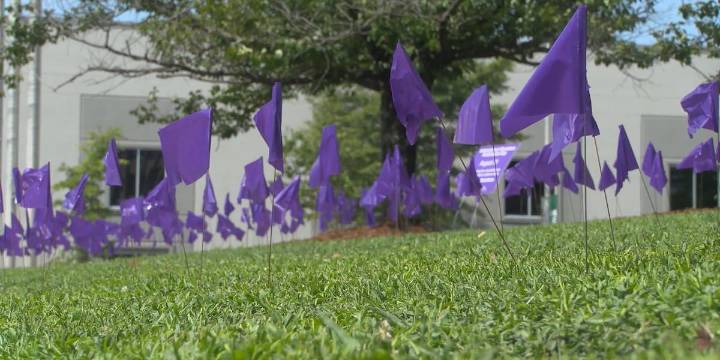 Jefferson County Department of Health beginning weeklong observance of International Overdose Awareness Day
