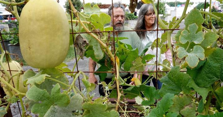 PHOTO: Exploring the 'Voice of the Farmer'