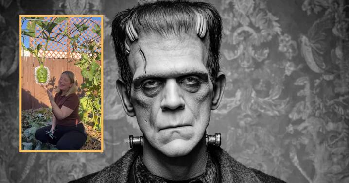 Mujer se vuelve viral por poner un molde de Frankenstein en su huerto; ahora sus calabacitas tienen su cara