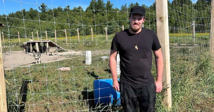 Fate of 16 hybrid wolf-dogs in northern Ontario area remains uncertain