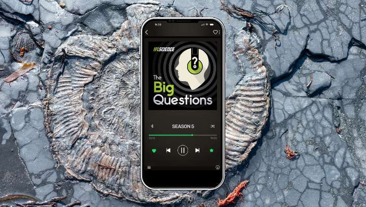 IFLScience The Big Questions: What Will The Fossils Of The Future Look Like?