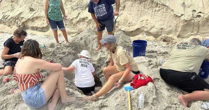 Aunque no tocó tierra ni causó daños, huracán Erin afectó a nidos de tortugas