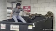 VIDEO: 20-foot python found abandoned in downtown LA dumpster