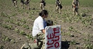 Immigrant population in the US has started to decline for the first time in years