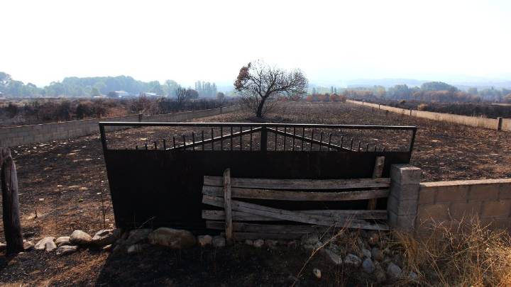 El fuego no da tregua a Castilla y León: dos incendios más de nivel 2 y nuevos desalojos