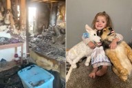 Family Gifted Life-Sized Stuffed Animals of Dogs They Lost in House Fire (Exclusive)