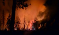 Is Insurance Enough In The Event Of A Wildfire?