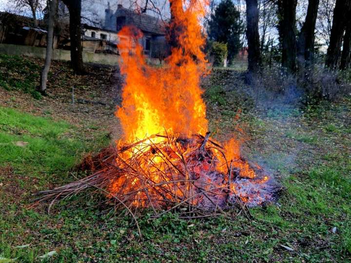 Multiple Arkansas counties under burn ban; entire state under 'moderate' wildfire risk