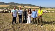 CLM paga en lo que va de año más de seis millones en ayudas para bienestar animal