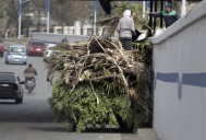Timelapse Shows Concrete Replacing Greenery in Africa's Most Populous City
