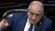 Luis Juez volvió a quebrarse en el Senado: "Lo que necesite el Garrahan lo merece"