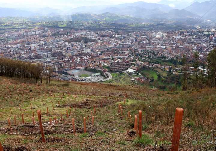 IU insta a aprobar un plan de prevención de incendios forestales en Oviedo
