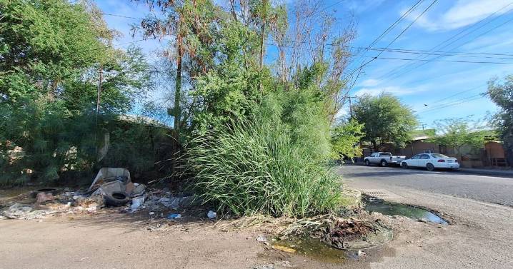 Solicita ayuda de Ayuntamiento para limpieza de banqueta en colonia Vicente Guerrero