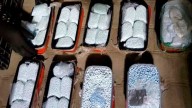 Nueva estrategia contra el fentanilo: Expertos de EU entrenan a la FGR para su detección