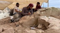 Nuevo streaming del Conicet: de las profundidades del mar a buscar fósiles de dinosaurios