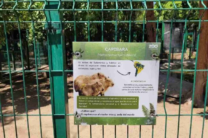 Alcalde de Culiacán debe explicar desaparición de animales en Zoológico, dice regidora; desde el 2001 no hay informes