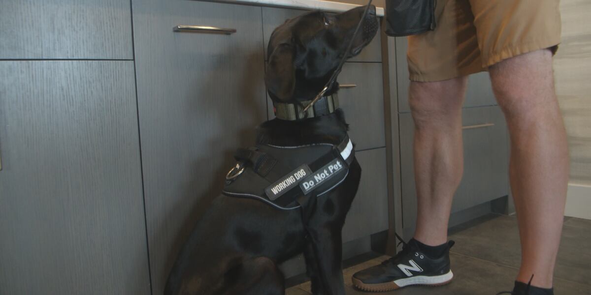 A dog adopted from the Siouxland Humane Society has a new family and a new job