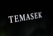 Singapore's Temasek-backed entity to acquire 16% stake in Ayala's healthcare arm