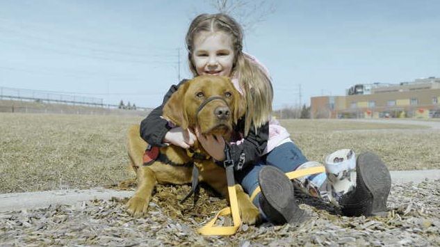 TV show celebrates bond between children and service animals