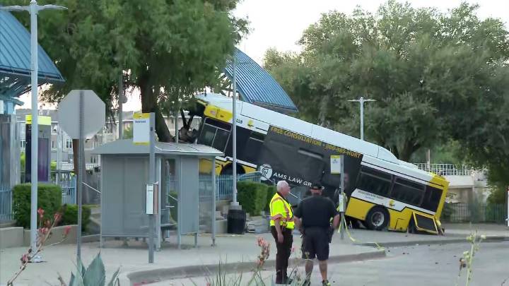 Five people taken to hospital after DART bus crashes into tree, DFR says