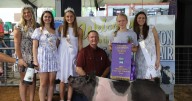 Yoders on top: Family notches grand champion, best-in-class wins in market hog show