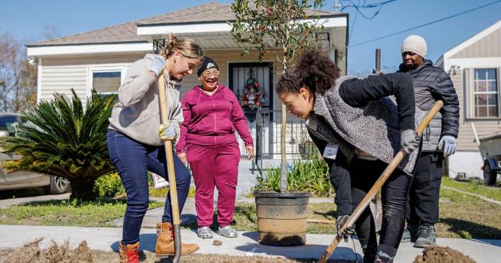 Two Decades After Hurricane Katrina, Work to Restore Tree Canopy Damaged by the Storm Continues
