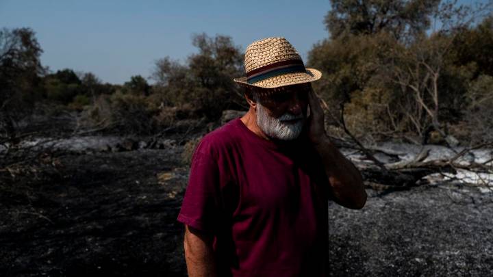 "Esta herida ya es para toda la vida": el incendio que dice adiós al paraíso verde de Jarilla