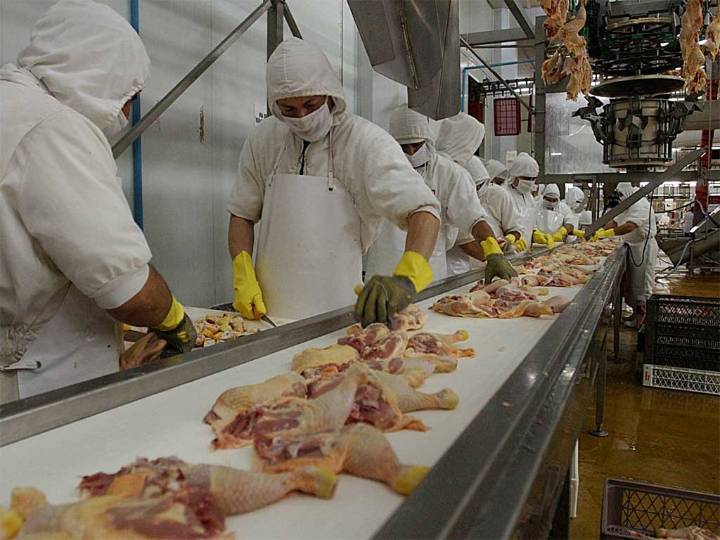 Chile anuncia reanudación de las compras de pollo a Brasil