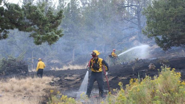‘Starting to take this personally’: ‘The Office’ actor flees home, again, amid Oregon wildfire