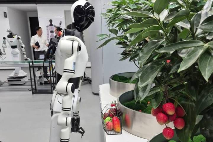 China hoy. Los cambios que generan admiración, la agricultura como política de Estado y el desafío de la “línea roja”