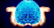 El avance médico del siglo: logran crear un cerebro humano de laboratorio y comienza el fin enfermedades como el Alzheimer