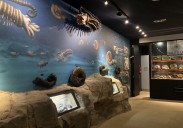 Pequeños museos que esconden grandes tesoros