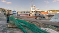 Un pescador se queda sin palabras tras atrapar a una criatura marina gigante y viscosa: "¿Qué demonios es esto?"
