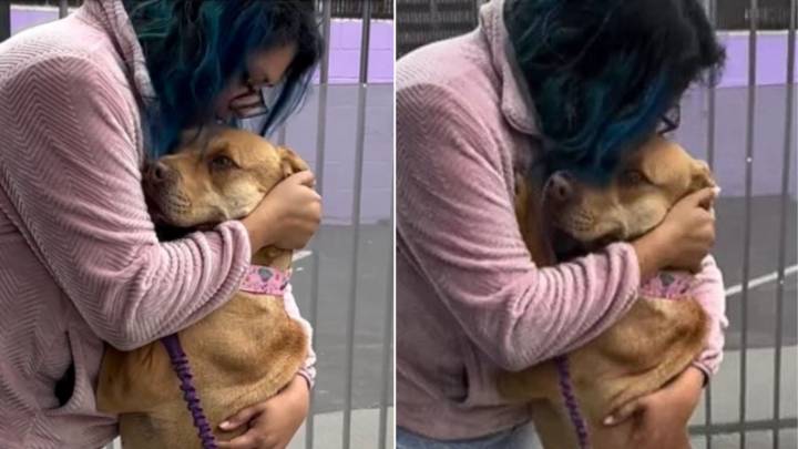 Miserable Dog Gets Much-Needed Hug From California Rescuer After The Saddest Surrender